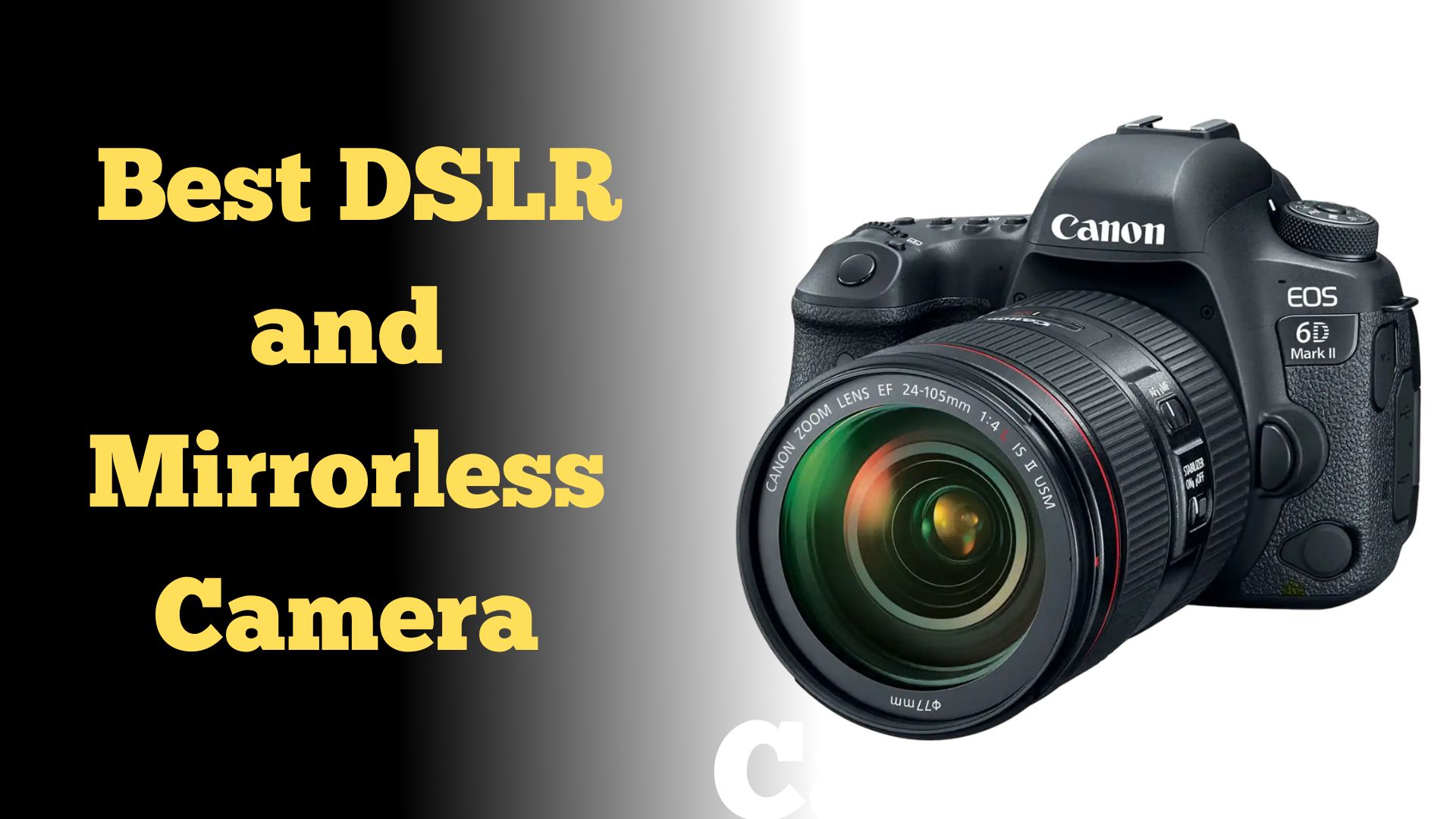 Best DSLR and Mirrorless Camera