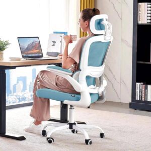 DROGO Premium Ergonomic Office Chair