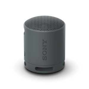 Sony SRS-XB100 Bluetooth Speaker